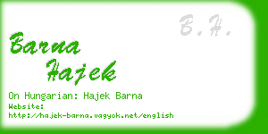 barna hajek business card